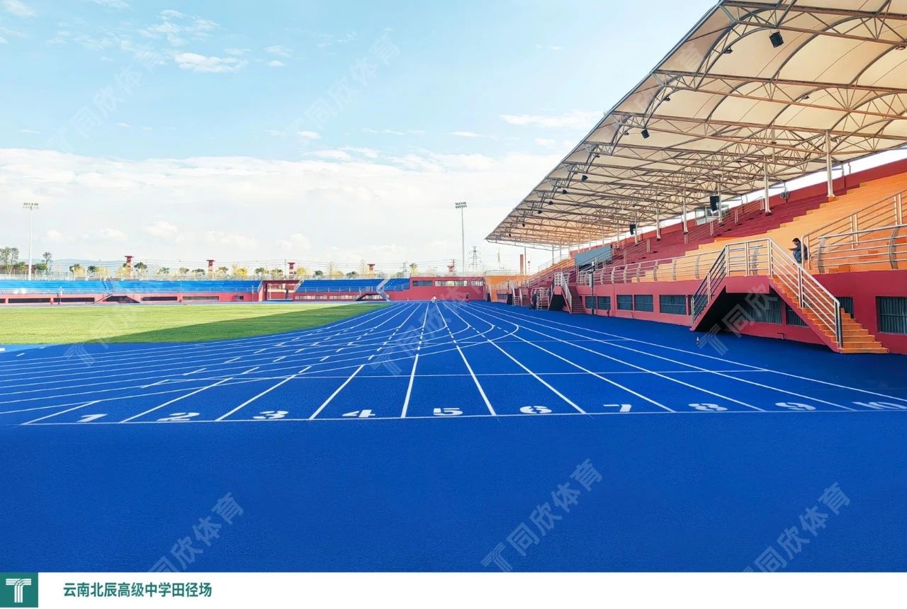 �����ʹ�5vip����