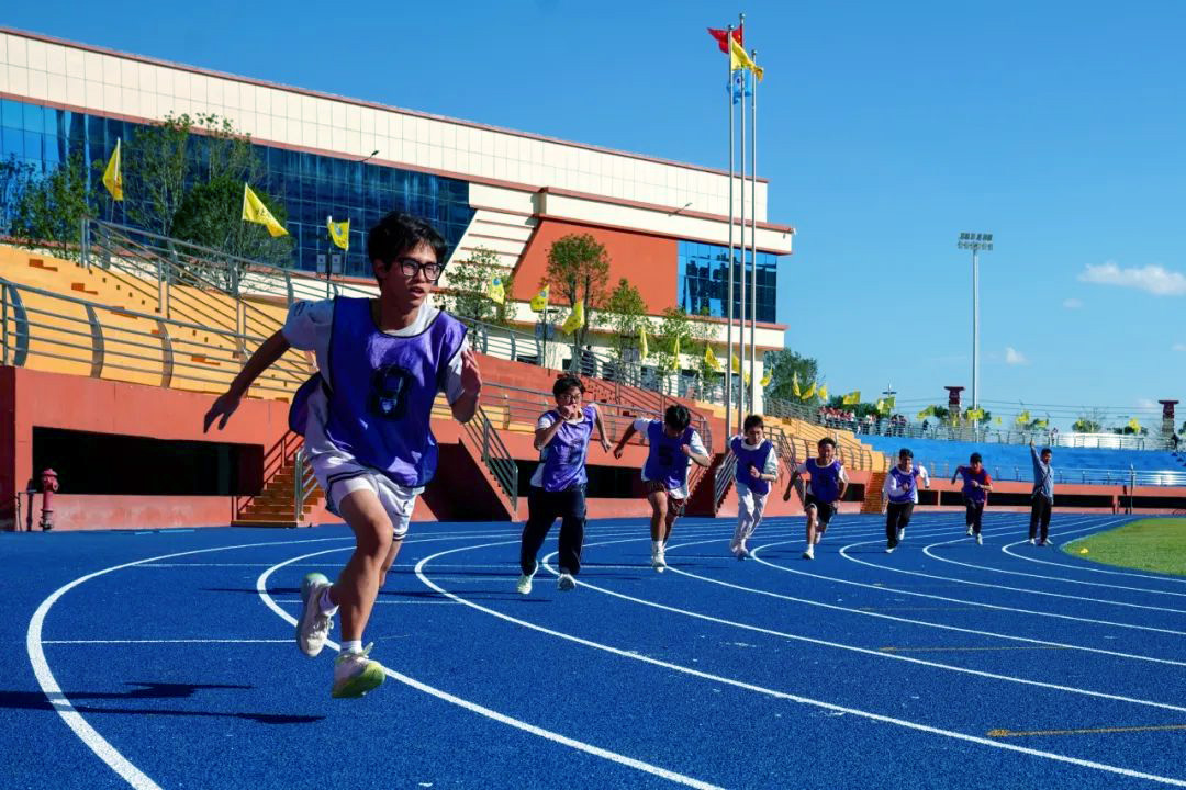 �����ʹ�5vip����