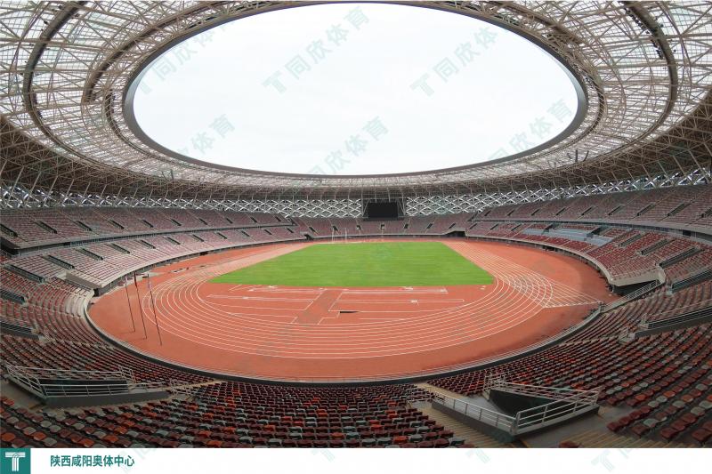 �����ʹ�5vip����