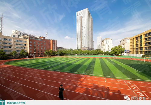 �����ʹ�5vip����