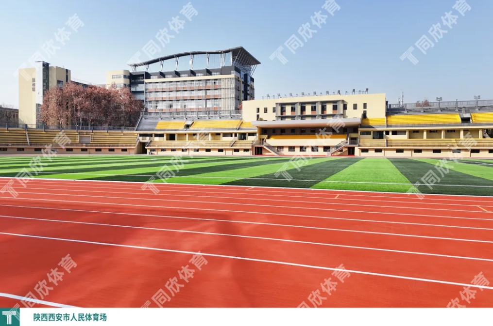 �����ʹ�5vip����