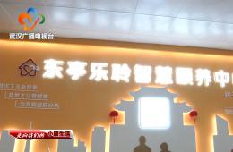 中宣部采访团到访武汉东亭社区333体育智慧保养中心