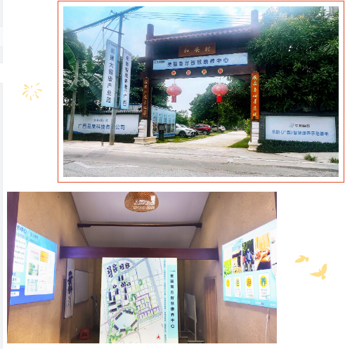333体育-全网最有氛围的体育赛事直播平台